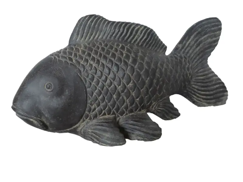 Product image 3 of the product “Koi carp , 75cm Length 75 cm”